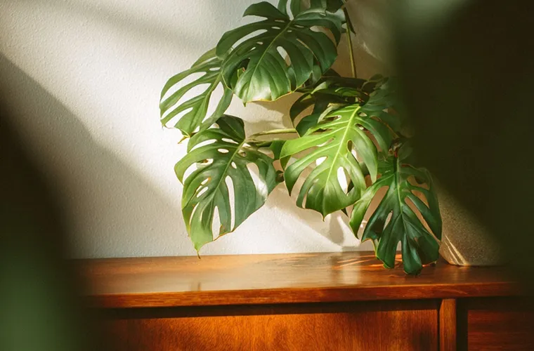 This is a second test post